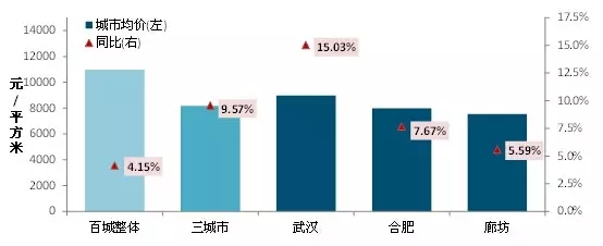 5.webp