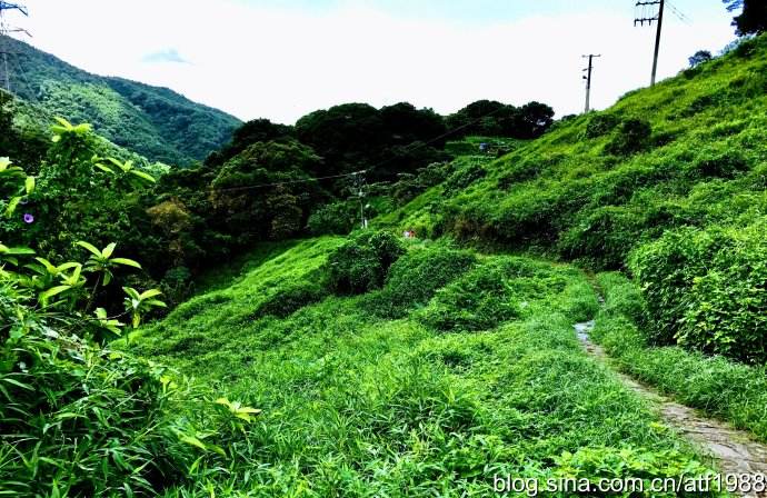 海南省海口市琼山区某镇10000亩农旅地产田园综合体项目[项目编号：XM1693]