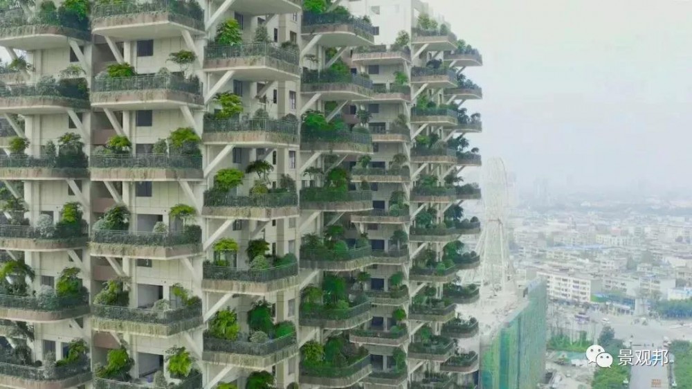 第六代住宅房,第六代住房实景图片,第六代住宅空中花园(第4页)_大山谷图库