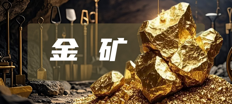 （金矿）甘肃省某优质中型金矿7亿整体转让[项目编号：XM3433]