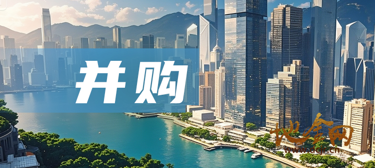 （并购）国内某企业需要并购6家电商企业，要求年税后净利润不低于300万