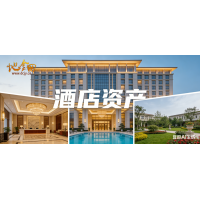 （酒店）国内某头部基金收购一线城市、准一线城市优质酒店资产